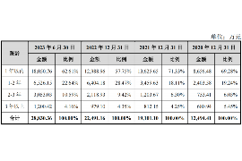 费县为什么选择专业追讨公司来处理您的债务纠纷？